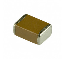 ECJ-5YF0J107Z
