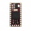 SS1-IC Image