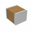 2220J2K00103KXT Image
