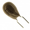 T356L107K016AS Image